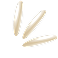 Rice Icon